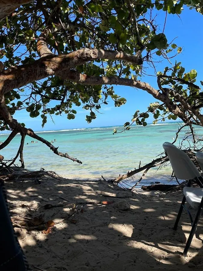 Apartment Studio Cosy Les Pieds Dans L'Eau A L'Autre Bord Le Moule Guadeloupe