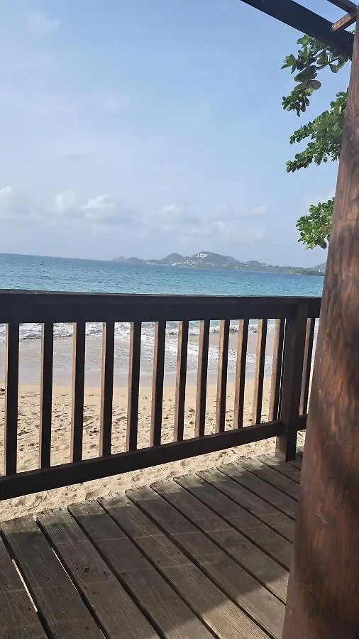 Apartment Studio Cosy Les Pieds Dans L'Eau A L'Autre Bord Le Moule
